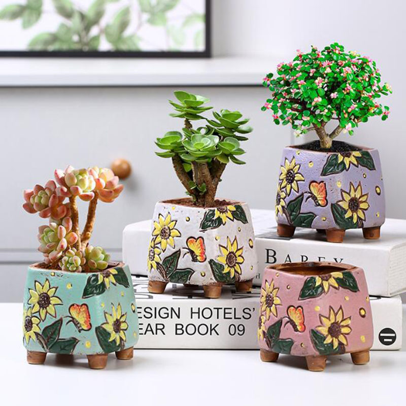 กระถางต้นไม้ลายดอกทานตะวันสไตล - Echeveria Succulent บทวิจารณ์และราคา