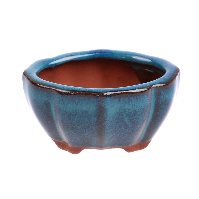 กระถางปลูกบอนไซเซรามิกขนาดเล็ก - Echeveria Succulent บทวิจารณ์และราคา