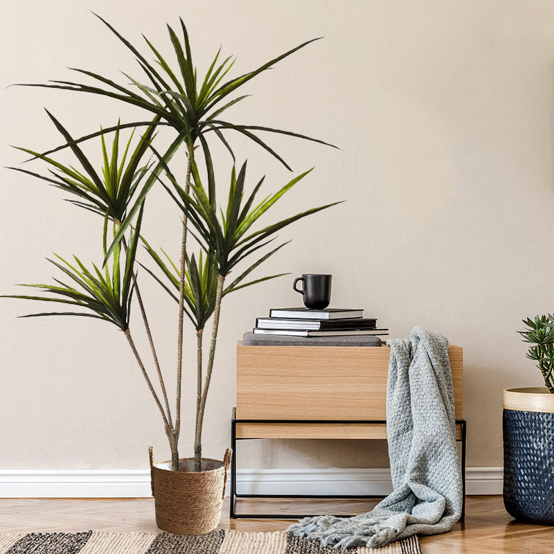 90-120ซม.ขนาดใหญ่ Dracaena ประ - Ficus Lyrata Tree บทวิจารณ์และราคา