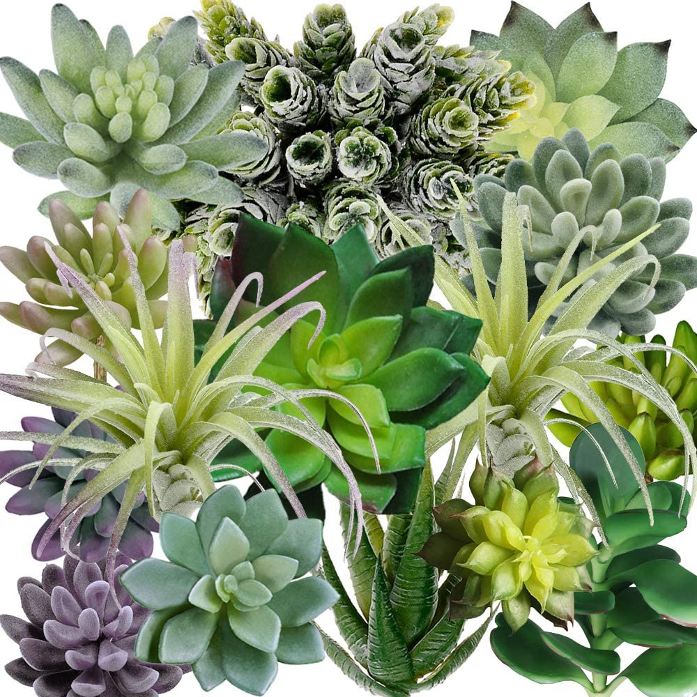 ชุดต้นไม้ประดิษฐ์ 15 ชิ้น รวมพ - Echeveria Succulent บทวิจารณ์และราคา