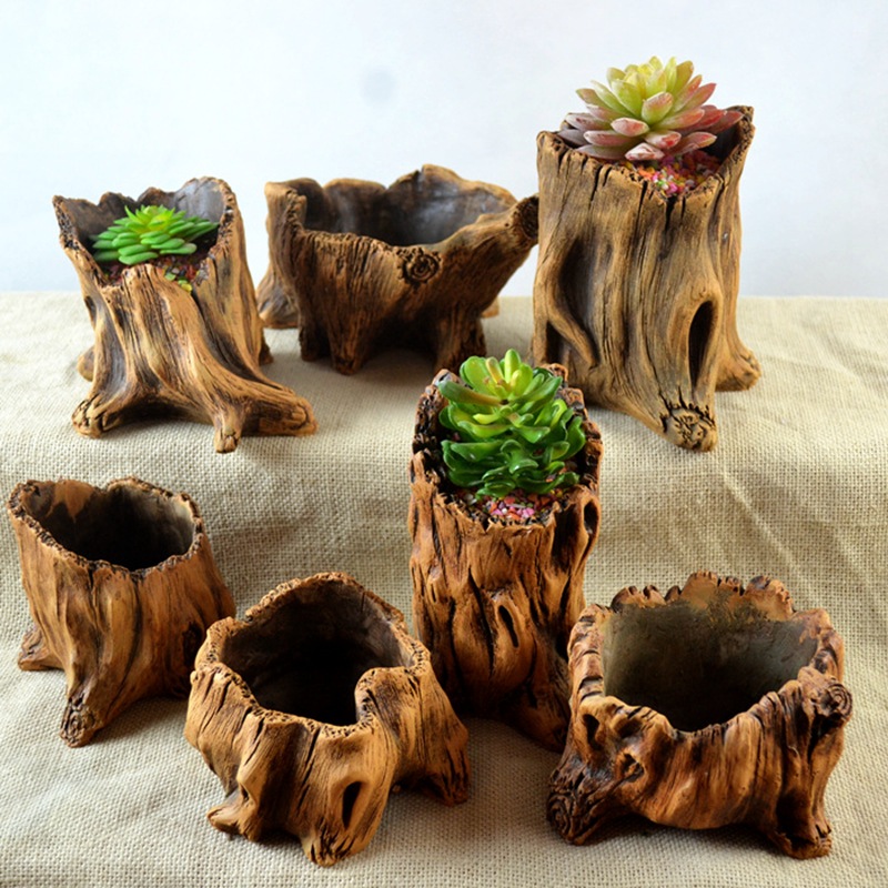 เลียนแบบไม้เดิมพันต้นไม้รากพืช - Echeveria Succulent บทวิจารณ์และราคา