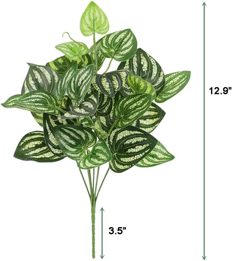 5 ชิ้นแตงโม Peperomia ประดิษฐ์ - Peperomia Watermelon บทวิจารณ์และราคา
