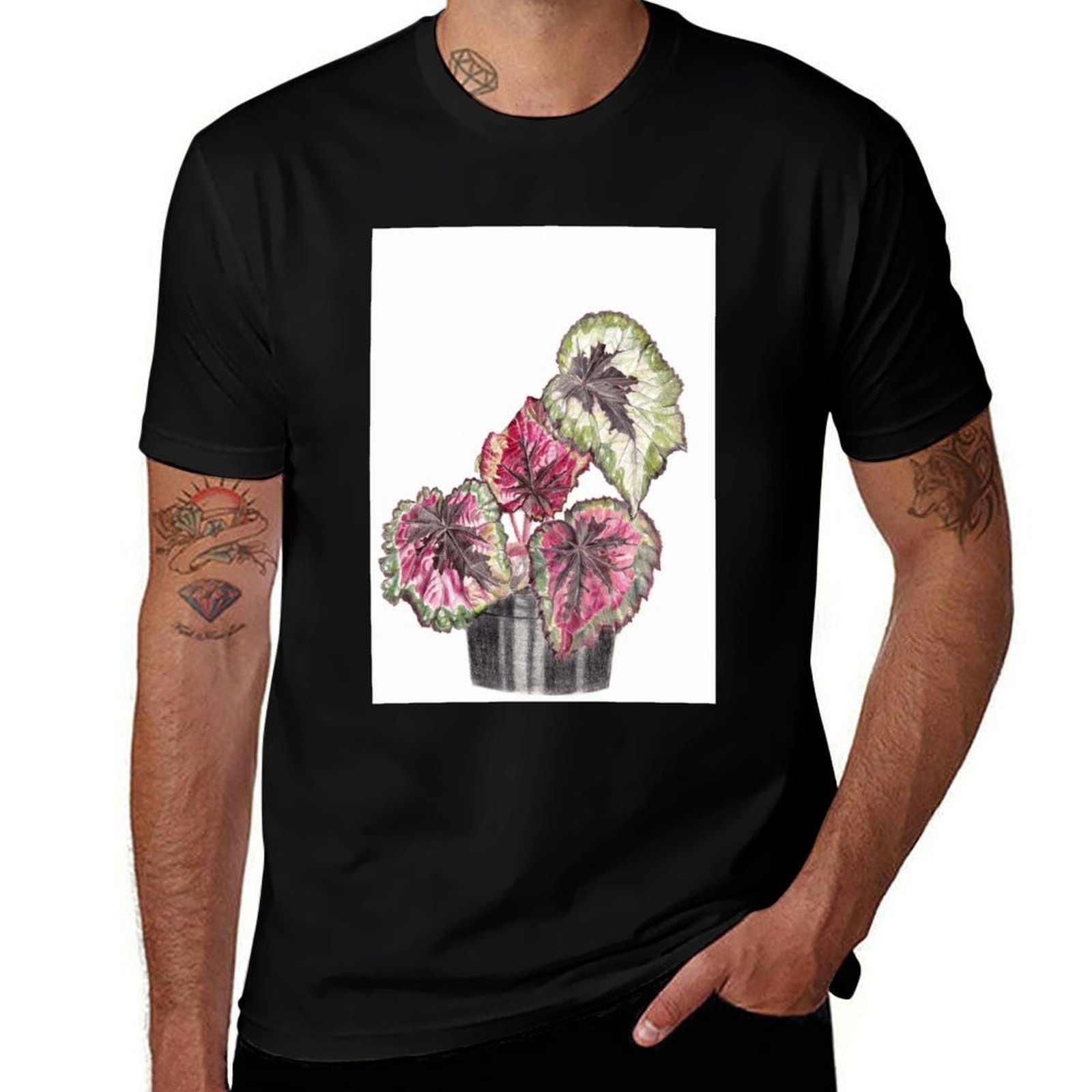 เสื้อยืดเบโกเนียเร็กซ์ เสื้อยื - Begonia Rex บทวิจารณ์และราคา