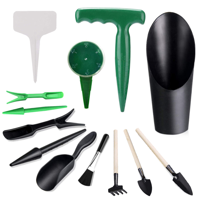 MINI สวนชุดเครื่องมือป้ายพลาสต - Echeveria Succulent บทวิจารณ์และราคา